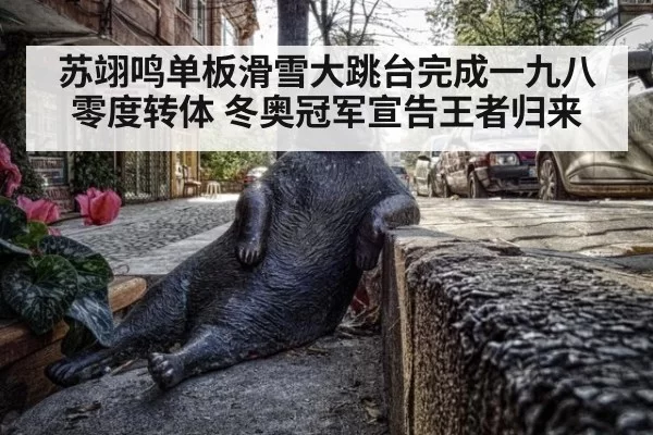 苏翊鸣单板滑雪大跳台完成一九八零度转体 冬奥冠军宣告王者归来